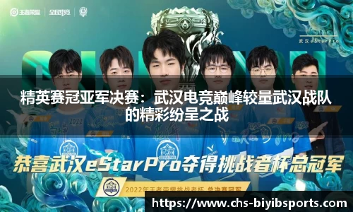 精英赛冠亚军决赛：武汉电竞巅峰较量武汉战队的精彩纷呈之战